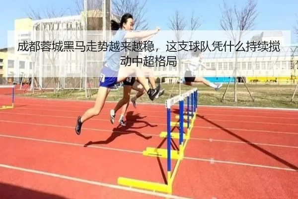 成都蓉城黑马走势越来越稳，这支球队凭什么持续搅动中超格局 | dianjingniu
